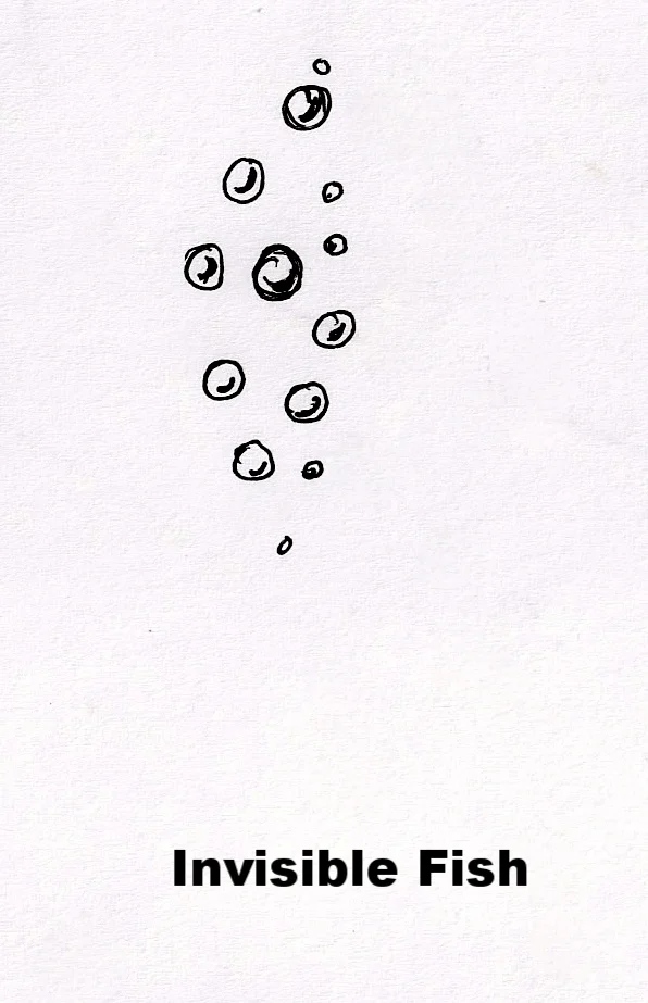 Fish 2 Invisible Fish.JPG