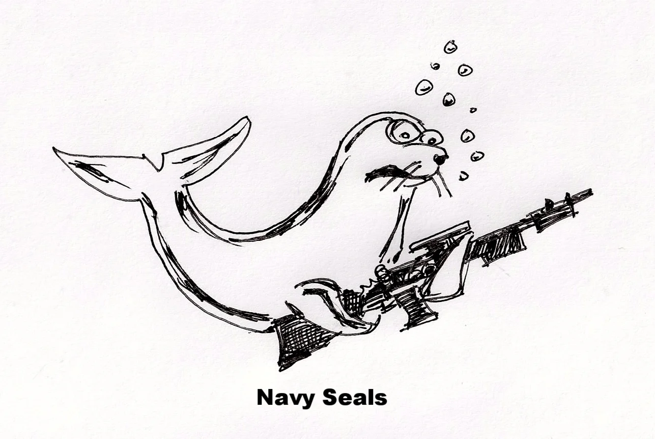 Protection 7 Navy Seals.JPG