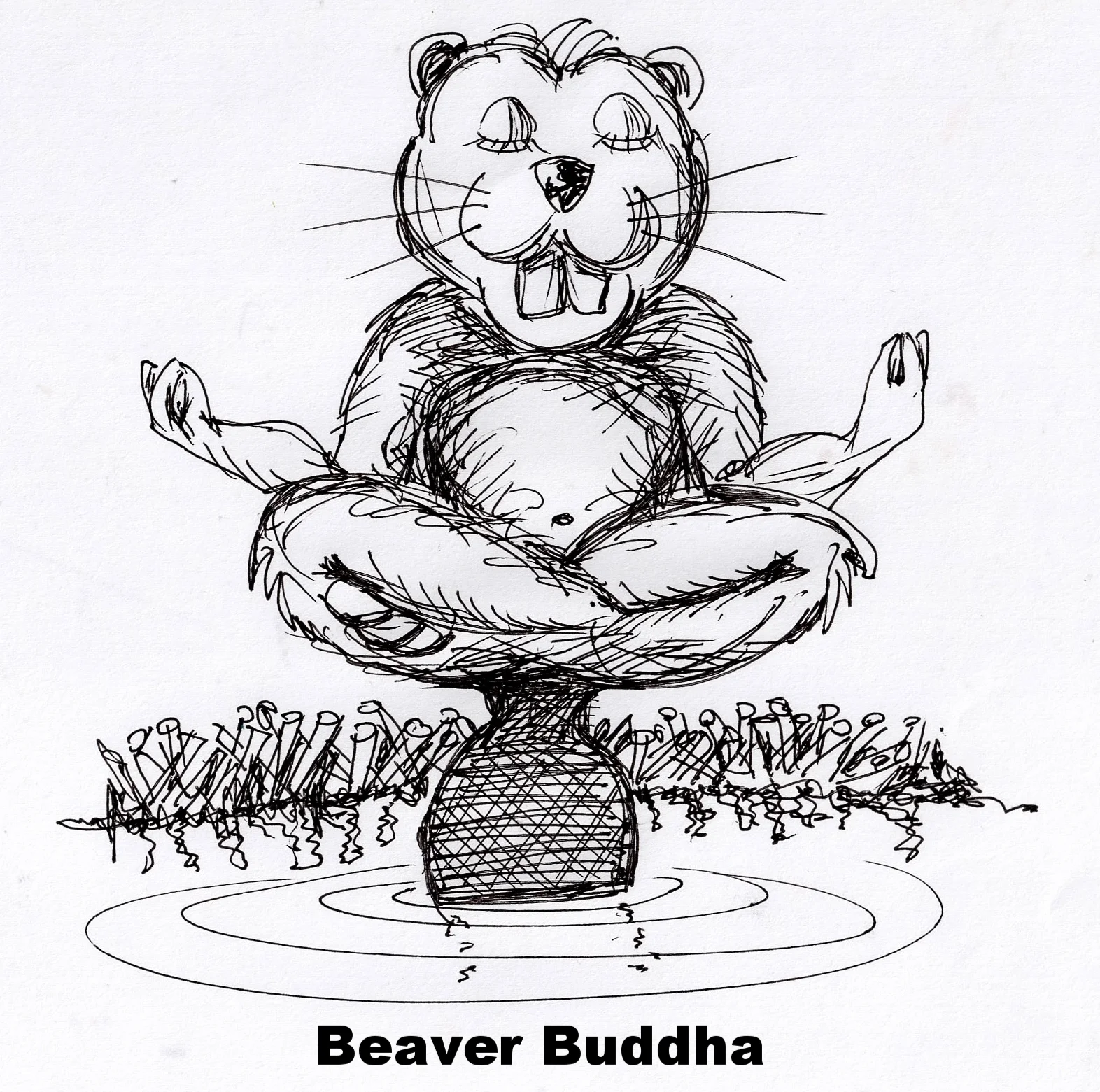 WTF Beaver Budha.JPG