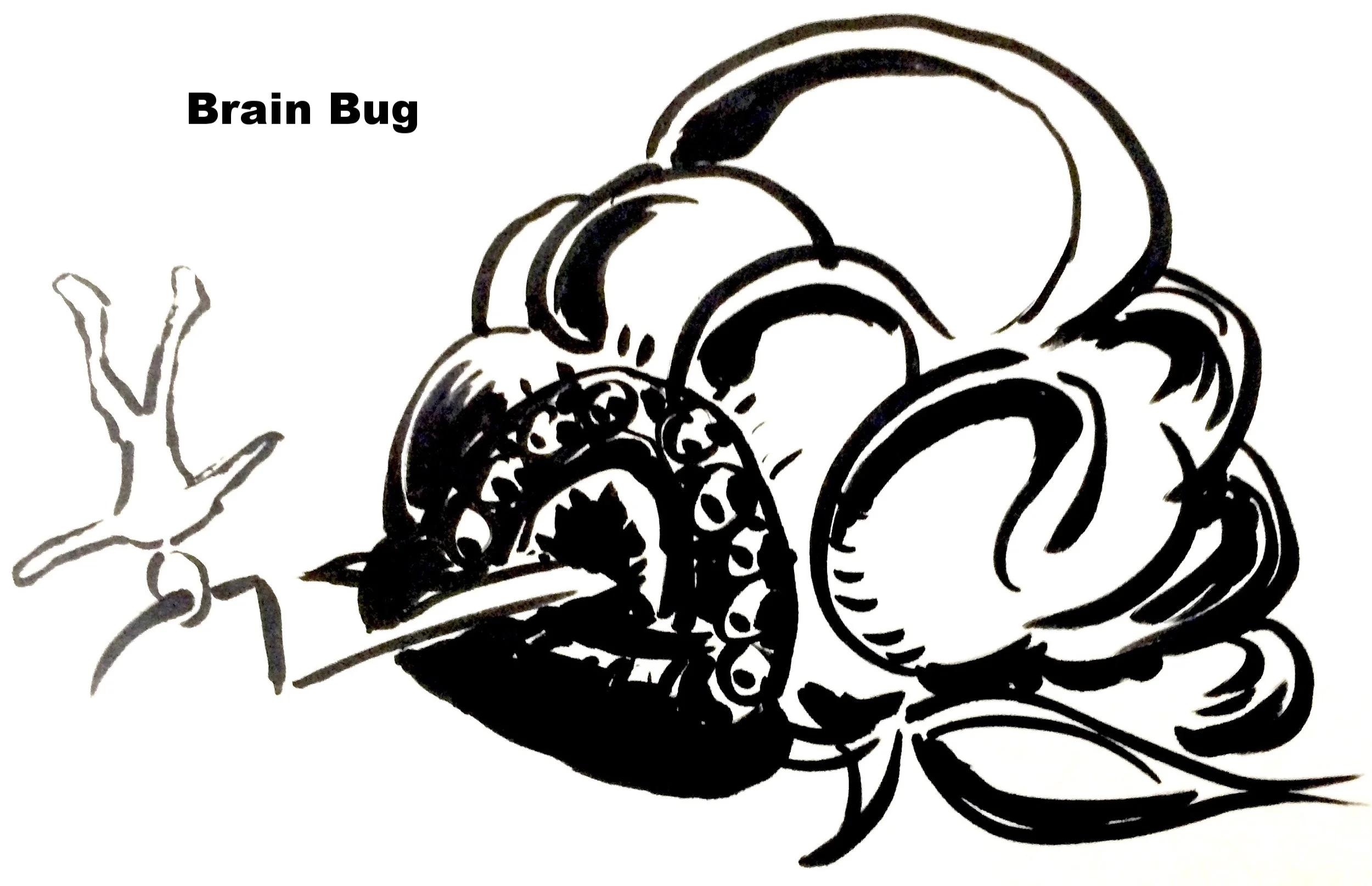 Brain Bug.jpg