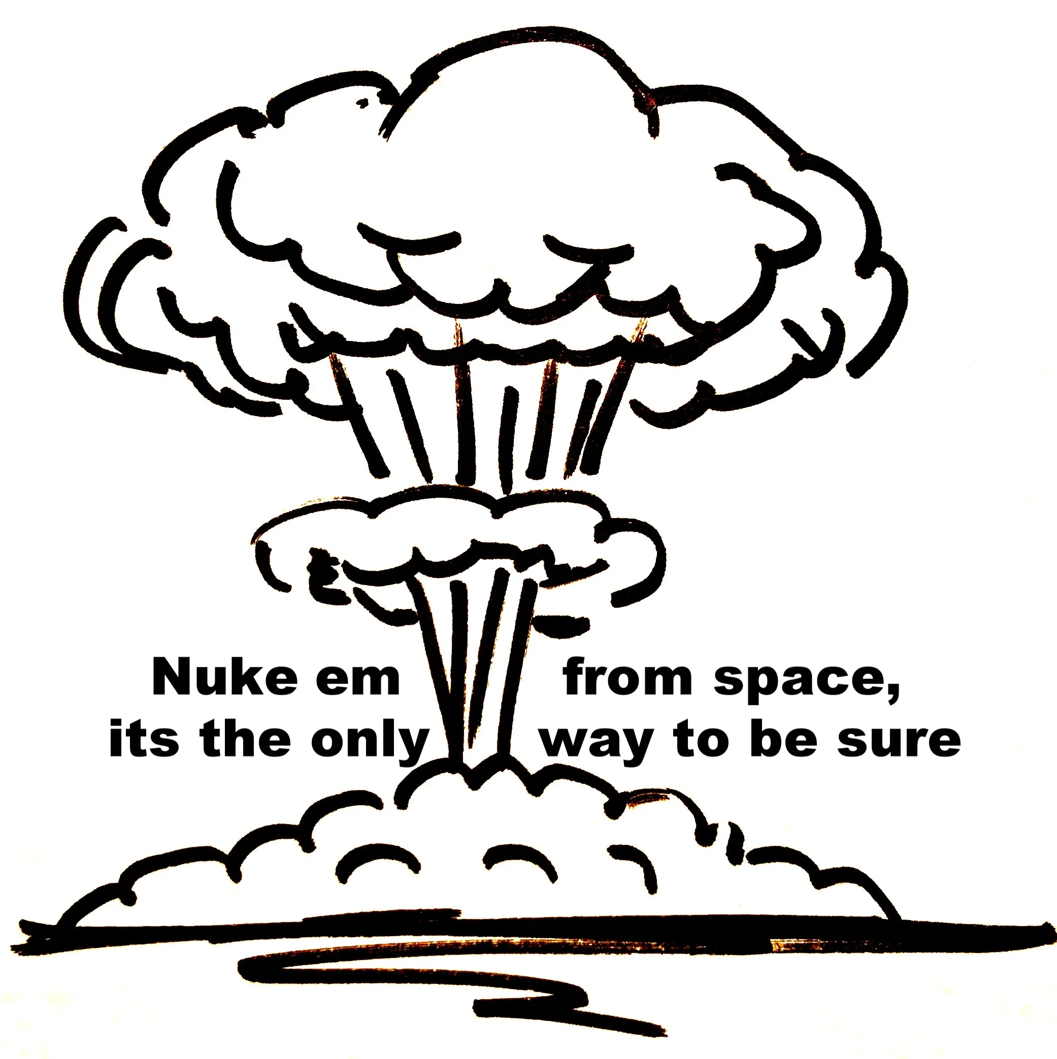Nuke em from Space, its the only way to be sure.jpg