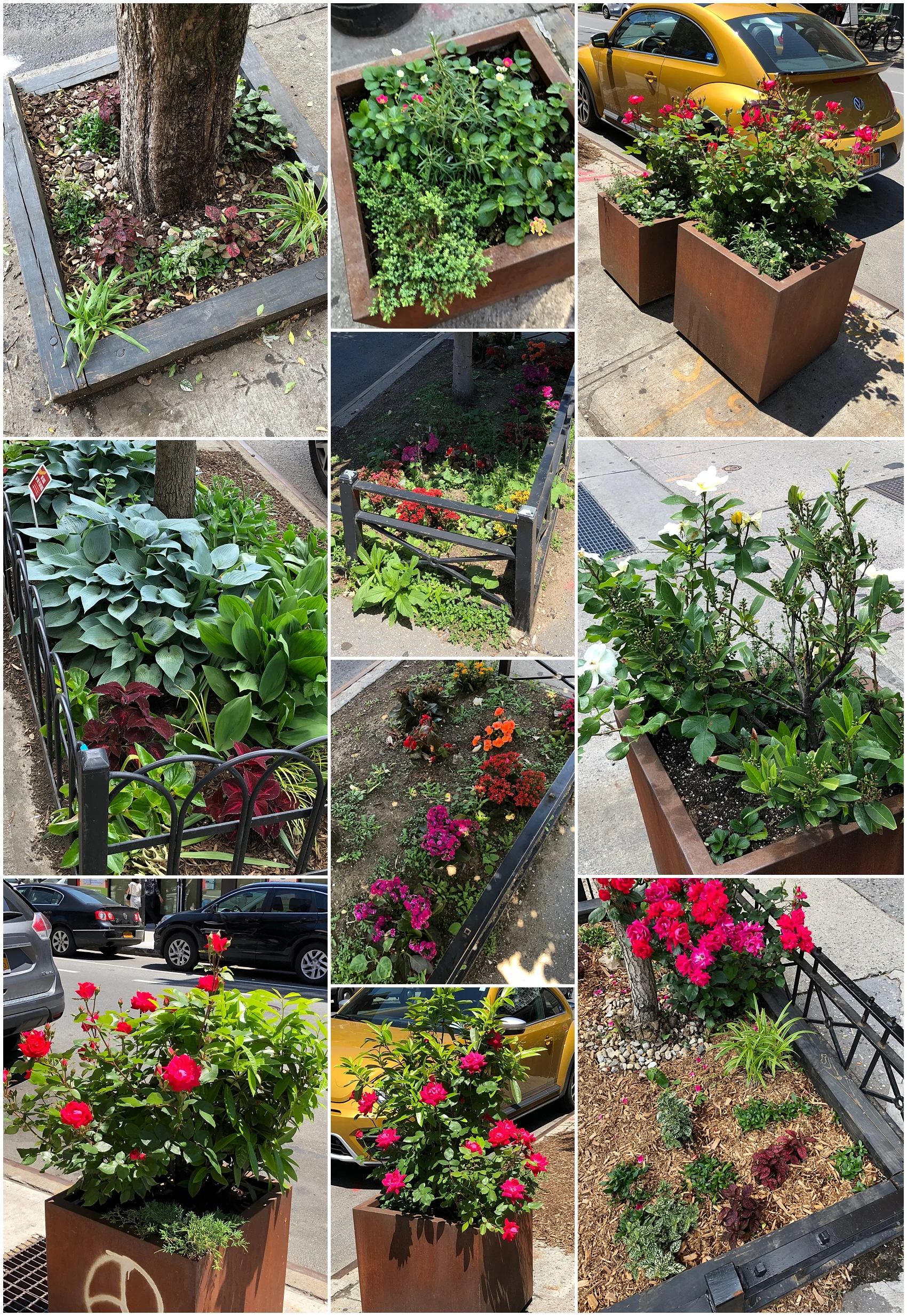 2019-06-15_0003.jpg