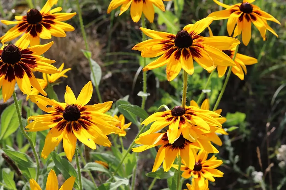 What Are the Top Plants for a Livermore Landscape?