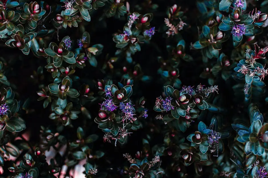 Dublin Turf: The Secret to a Lush and Low-Maintenance Garden