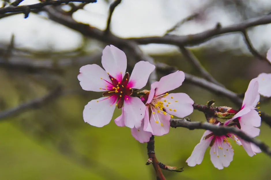 10 Essential Tips for Stunning Concord Landscape Transformations