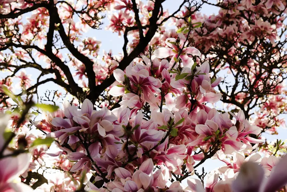 8 Common Mistakes to Avoid in Your Concord Landscape Planning