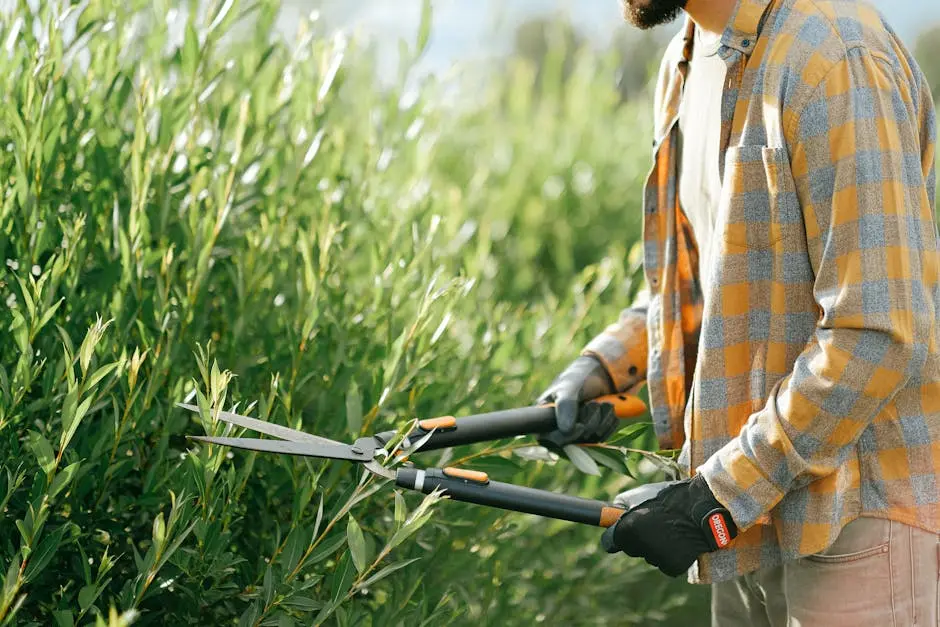10 Lawn Care Services to Boost Your Contra Costa County Home Appeal