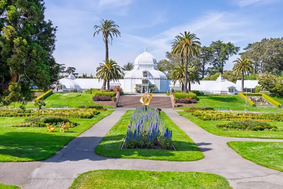 8 Common Mistakes to Avoid in San Francisco Landscaping