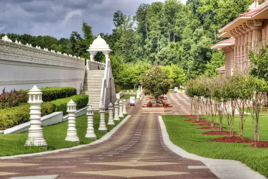 12 Essential Plants for a Beautiful San Ramon Landscape