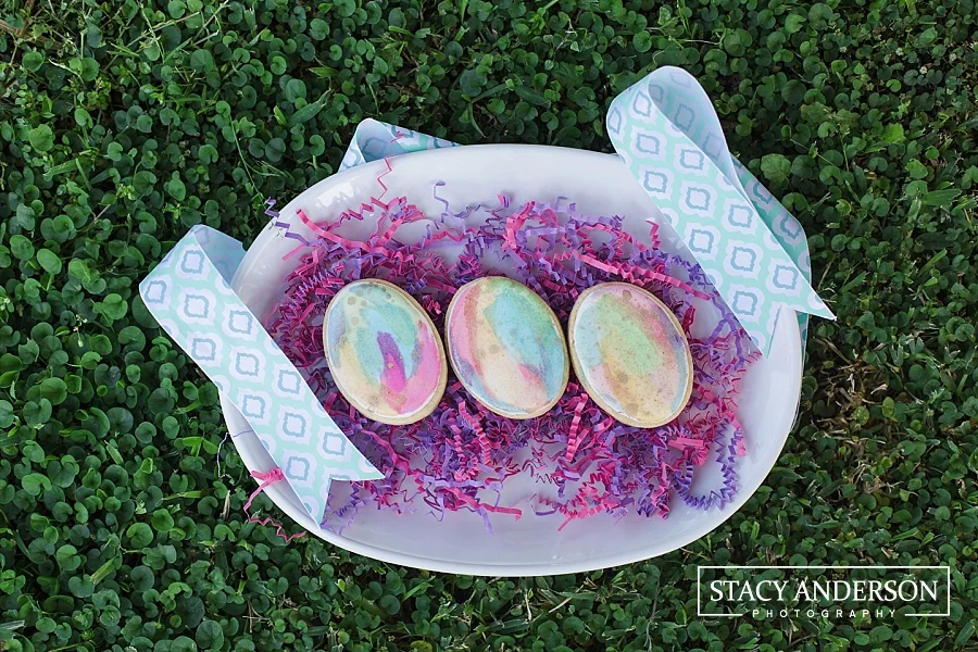 Stacy Anderson Photography Good Gosh Ganache_1376
