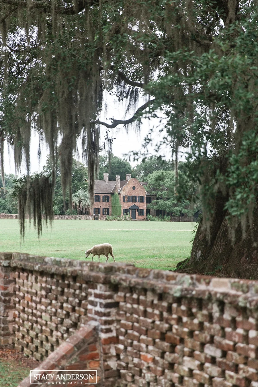 Stacy Anderson Photography Charleston Destination Wedding Photographer_1525