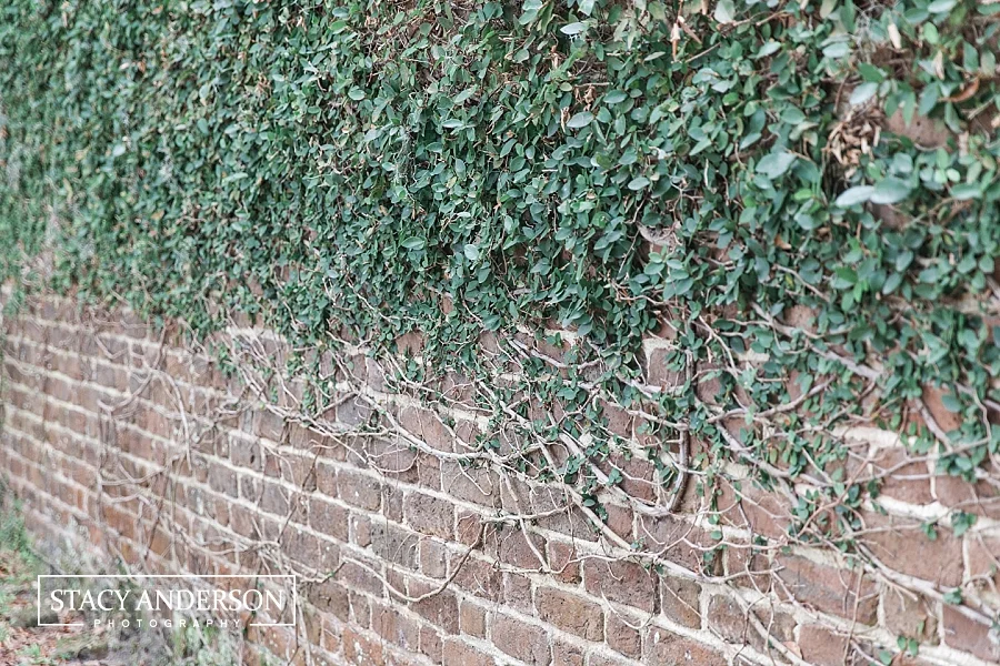 Stacy Anderson Photography Charleston Destination Wedding Photographer_1538