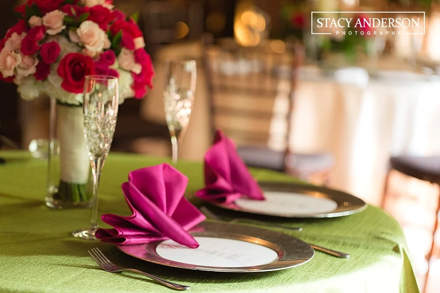 Stacy Anderson Photography Agave Road Katy TX Photographer_0151