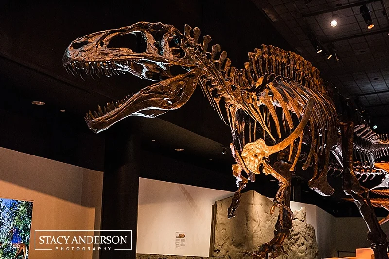 Stacy Anderson Photography Houston Museum of Natural Science Wedding Photographer (10)