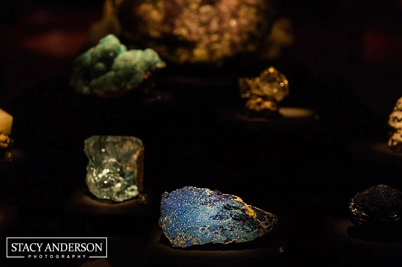 Stacy Anderson Photography Houston Museum of Natural Science Wedding Photographer (22)