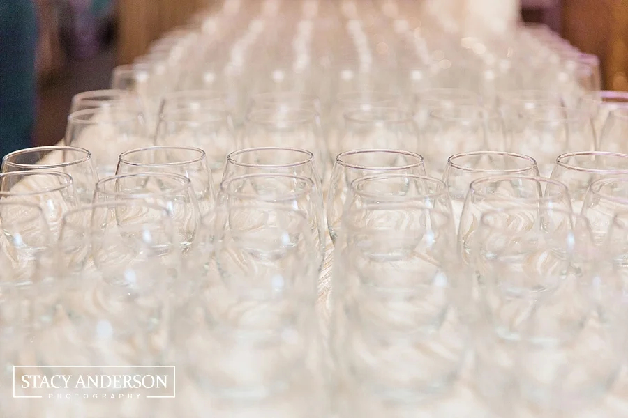 Stacy Anderson Photography Houston Photographer_0007