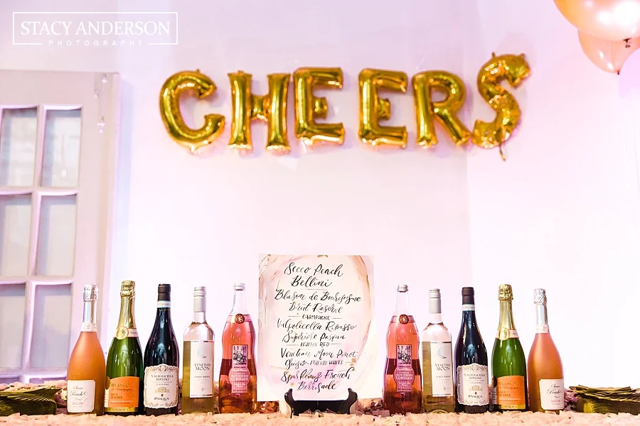 Stacy Anderson Photography Houston Photographer_0008