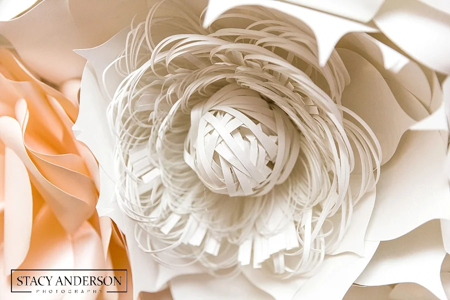 Stacy Anderson Photography Houston Photographer_0046