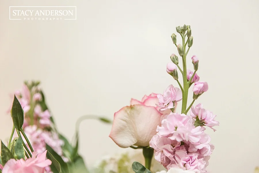 Stacy Anderson Photography Houston Photographer_0069