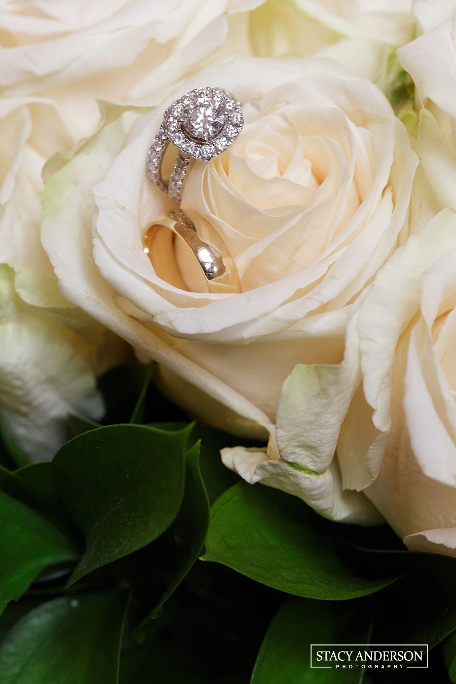 Stacy Anderson Photography Houston Photographer_1671