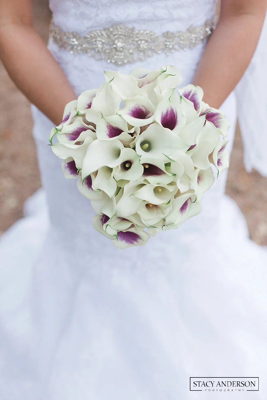 Stacy Anderson Photography Houston Wedding Photographer_1597