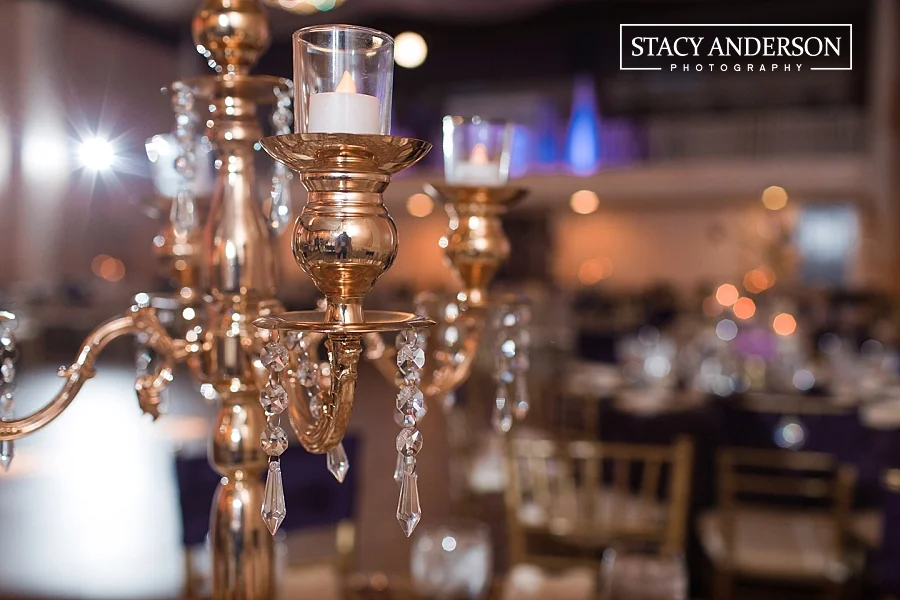 Stacy Anderson Photography Houston Wedding Photographer_1608