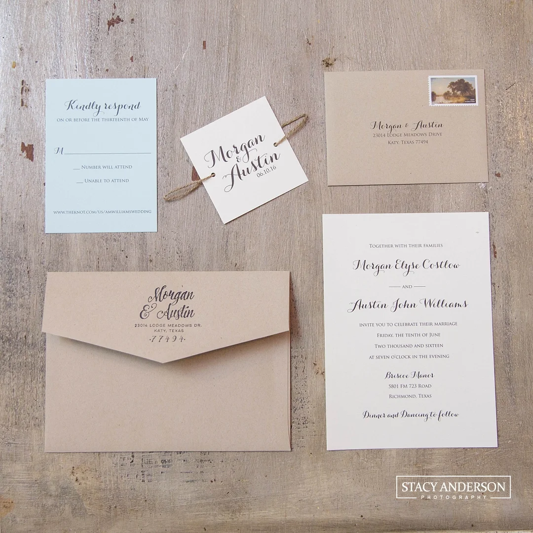 Stacy Anderson Photography Briscoe Manor Wedding Photographer_0049
