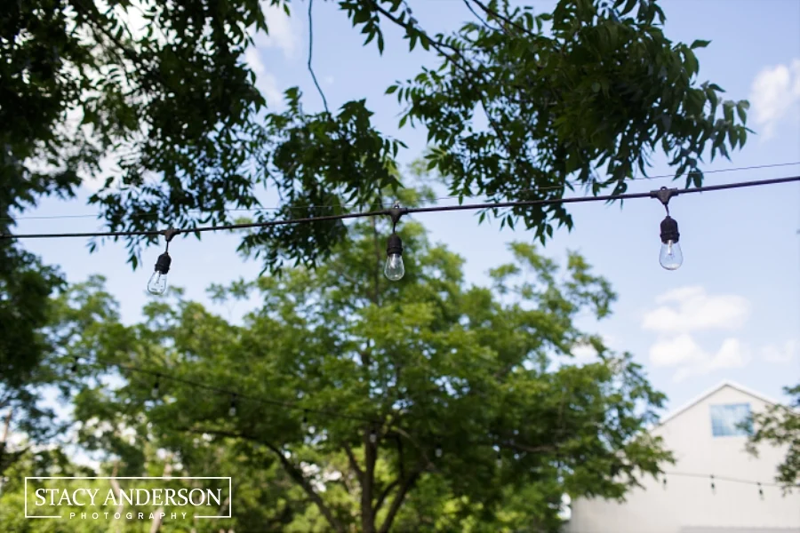 Stacy Anderson Photography Chandelier Grove_0024