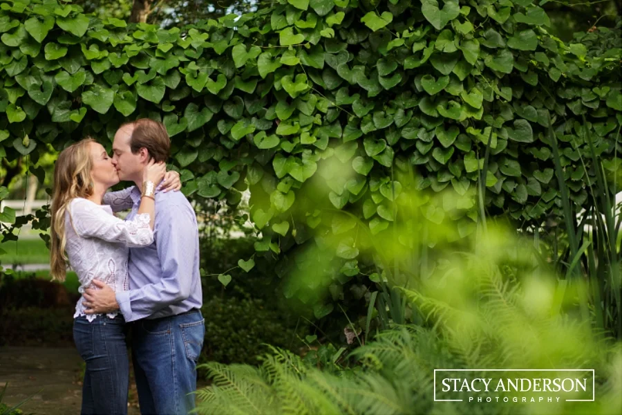 Stacy Anderson Photography Chandelier Grove_0032