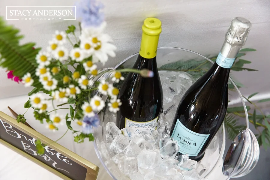 Stacy Anderson Photography_0262