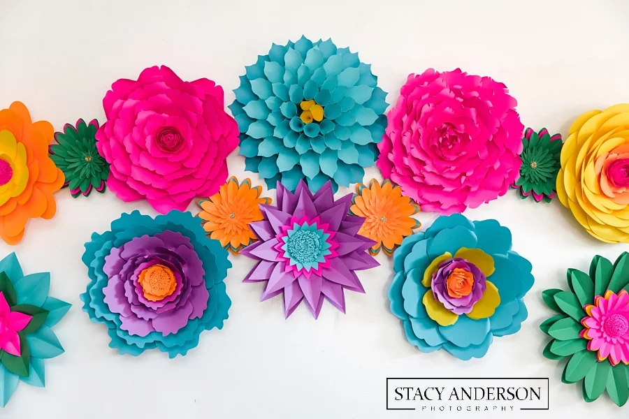 Stacy Anderson Photography_0274