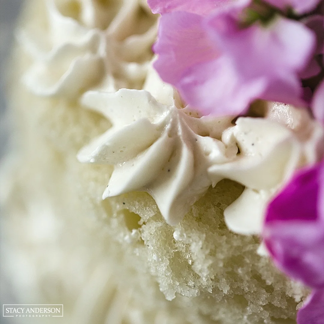 stacy-anderson-photography_0387