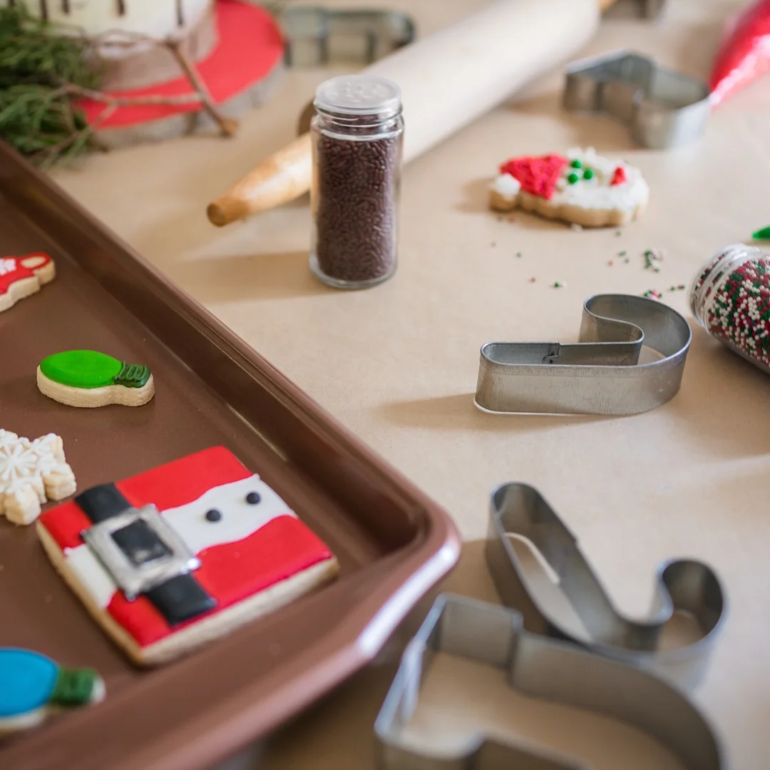 houston-christmas-mini-session-stacy-anderson-photography_0336