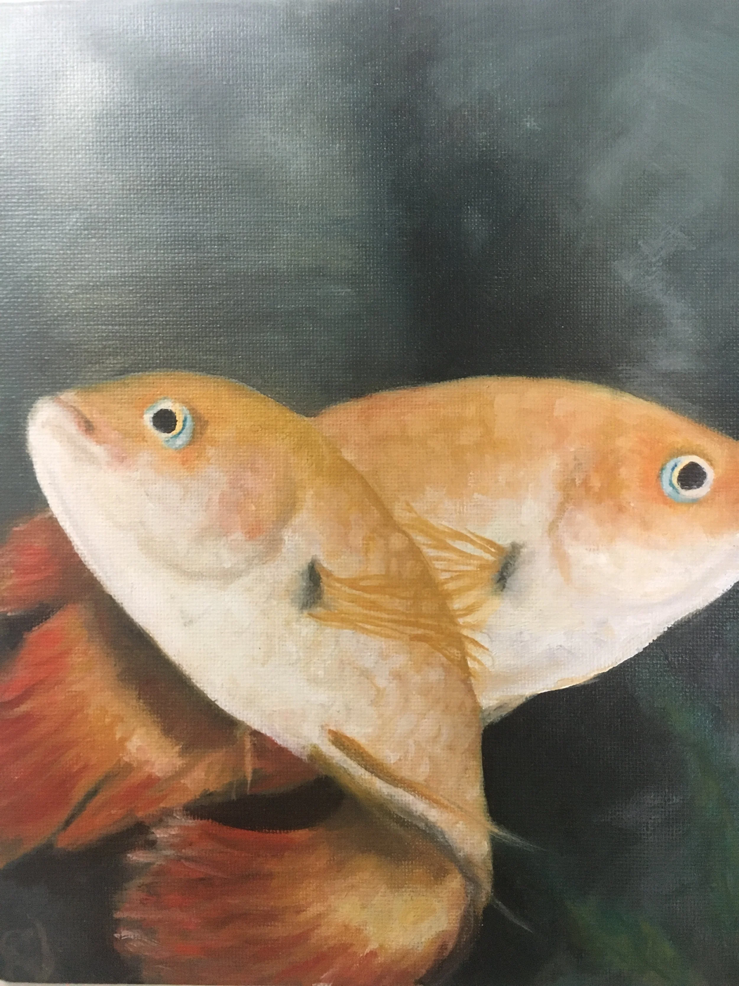 jones_ciclids.JPG