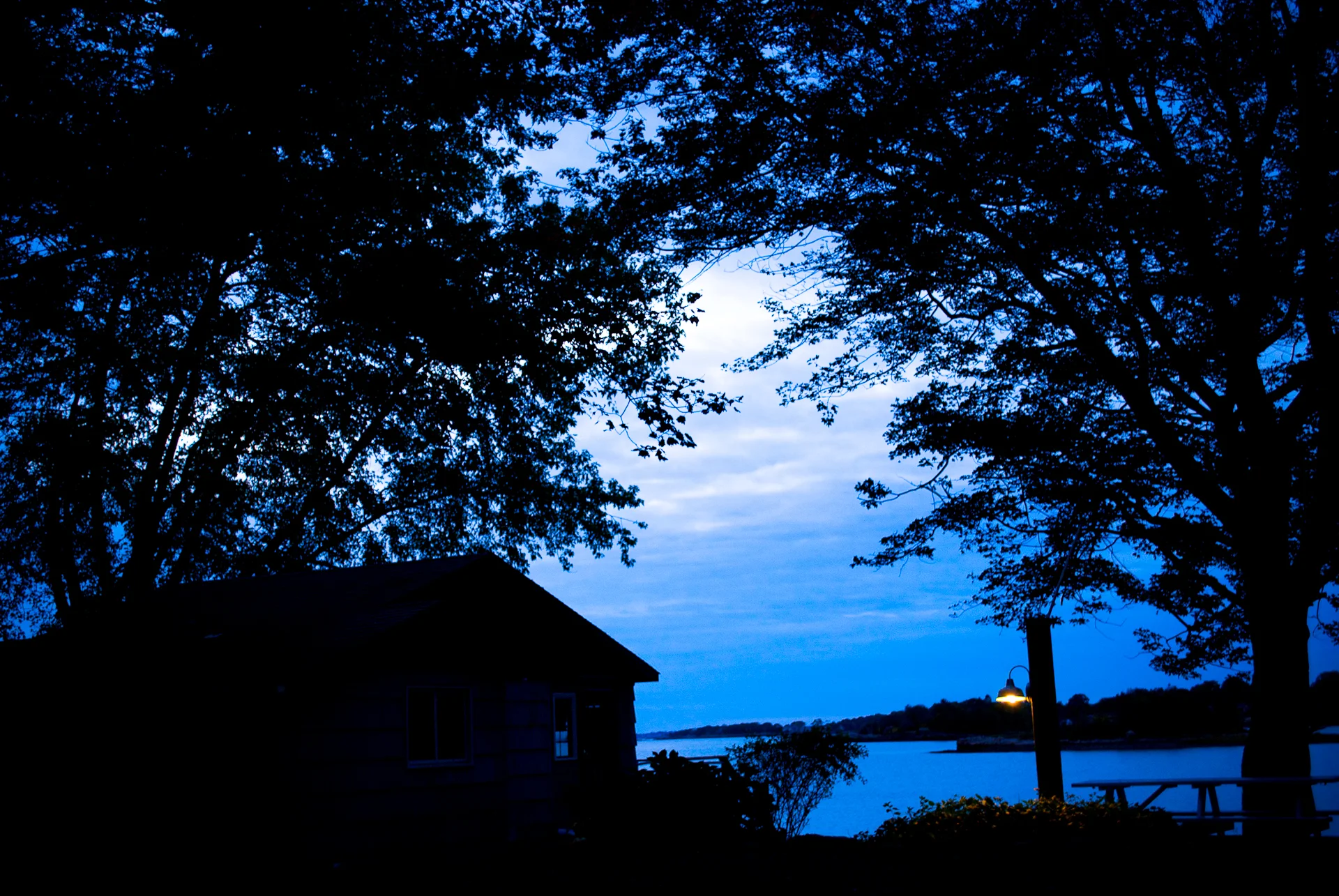DSC_0297.jpg
