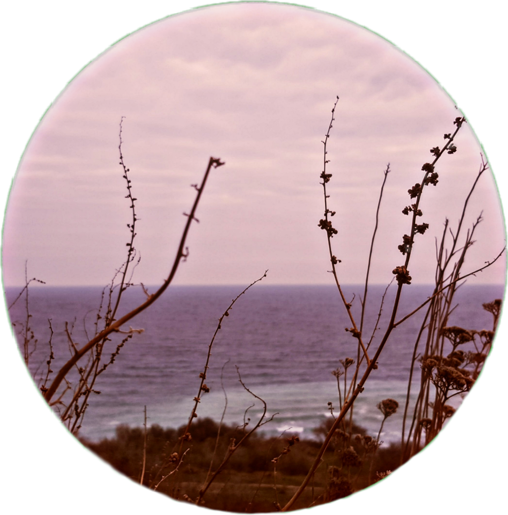 IMG_2286.png