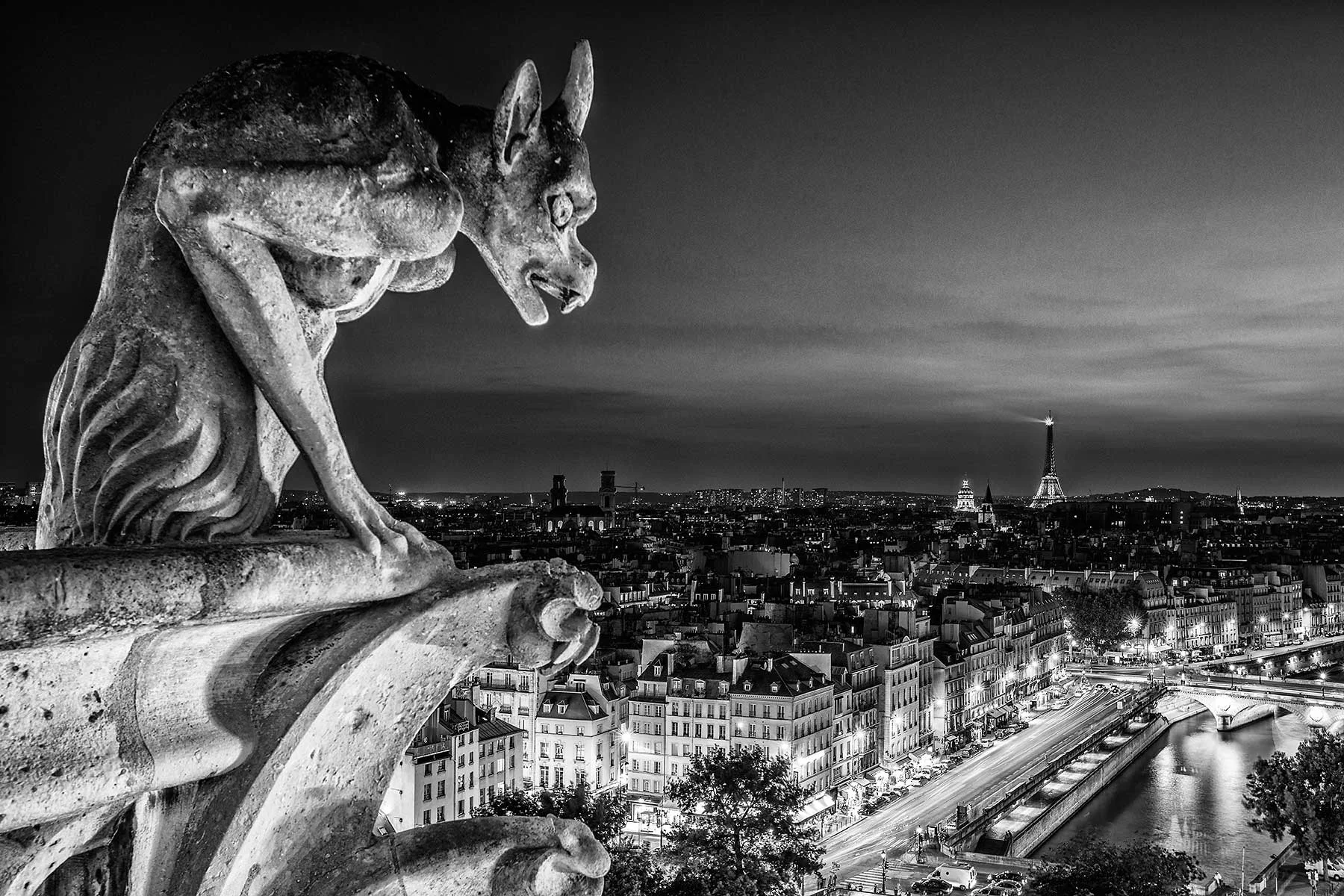 Paris-from-Notre-Dame.jpg