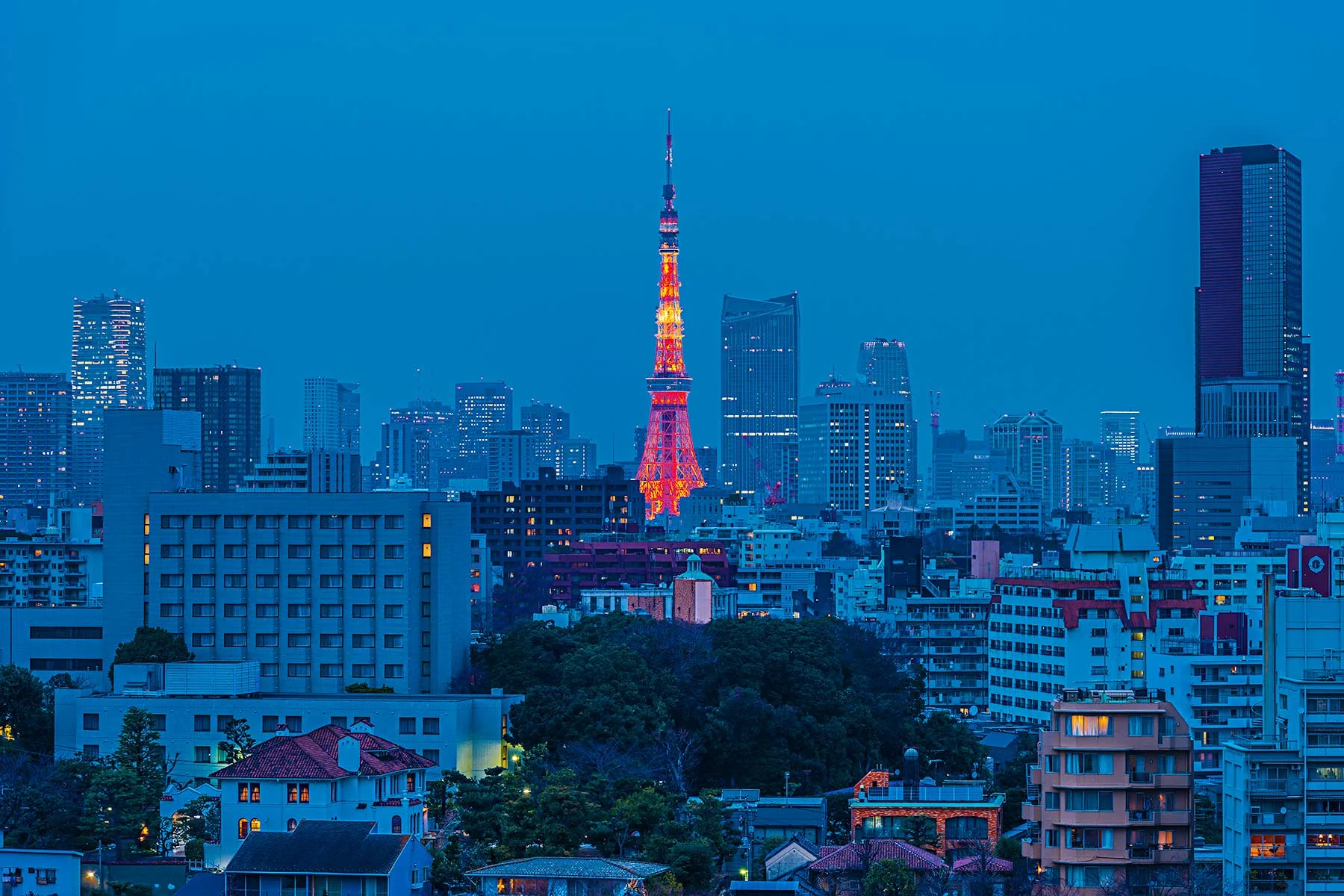 Tokyo-Tower.jpg