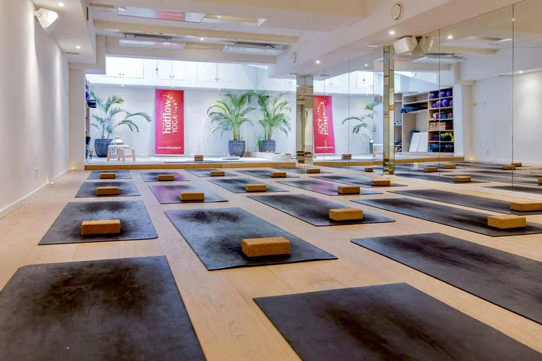 Yoga studio 2.jpeg