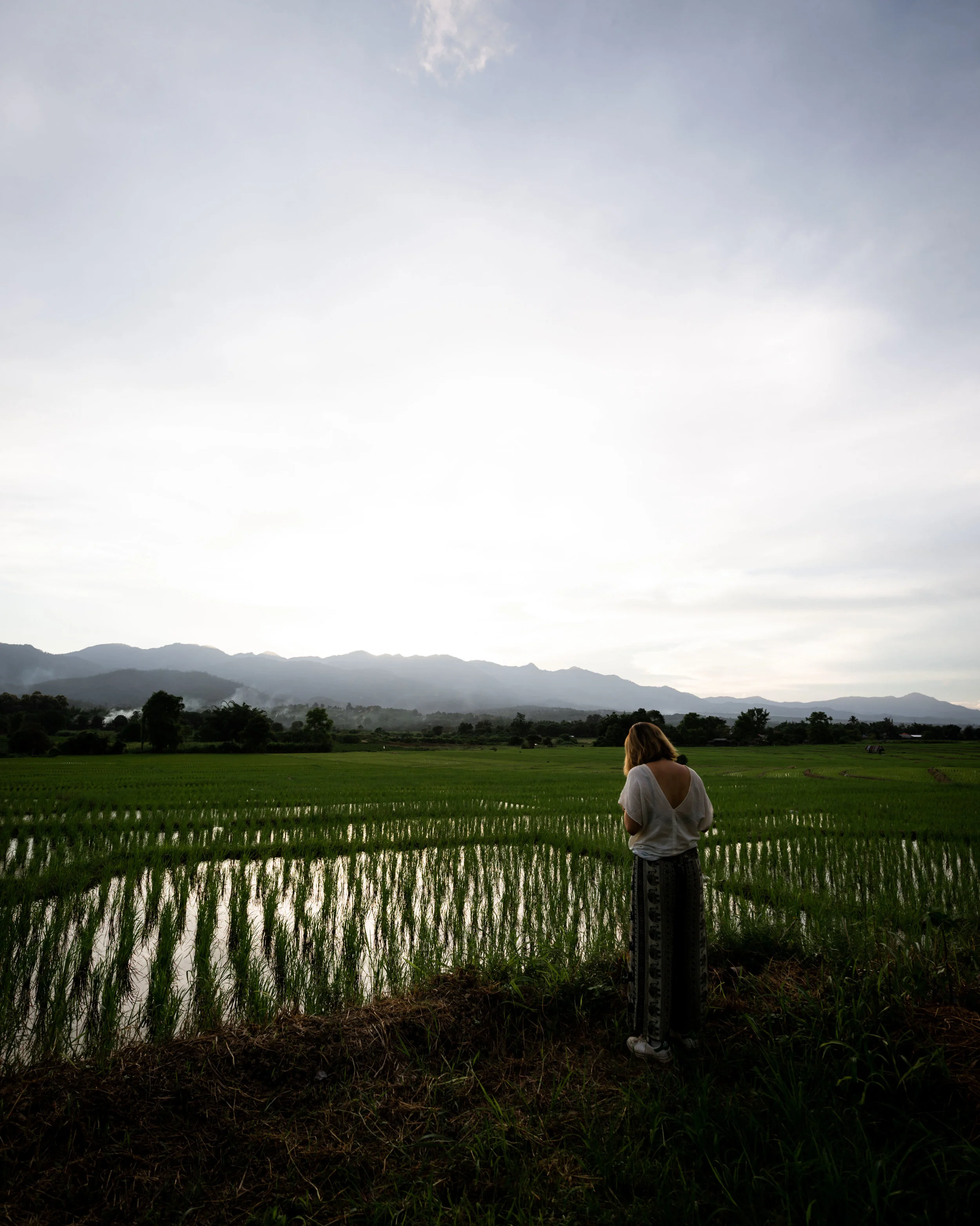 Sundown Playground, Pai