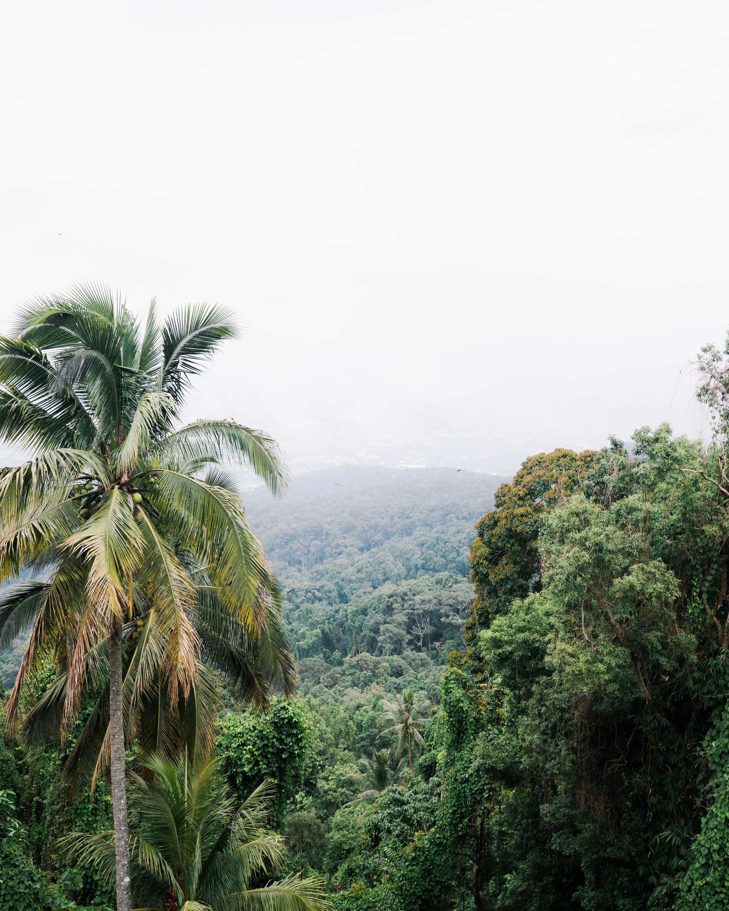 Doi Suthep, Chiang Mai