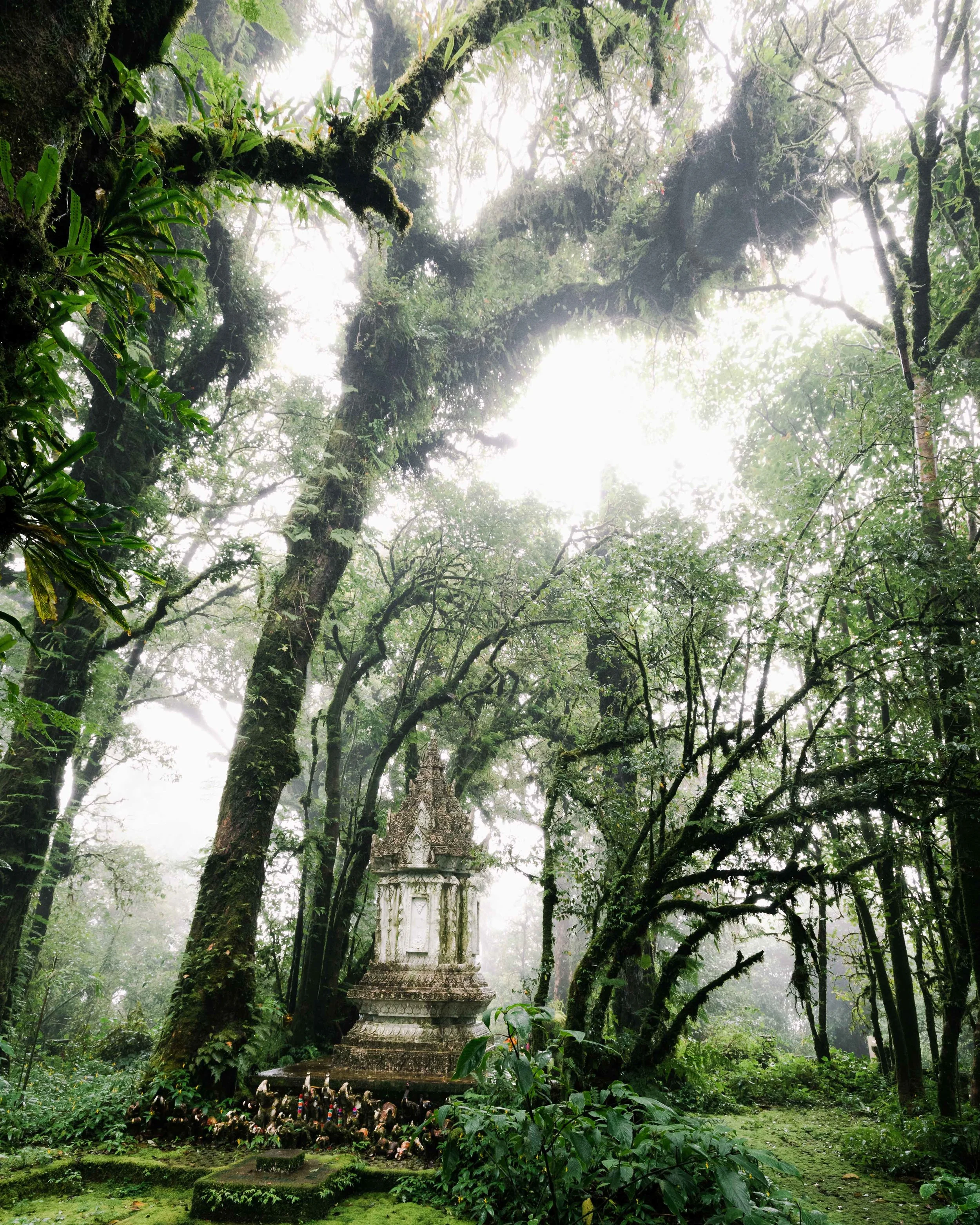 Doi Inthanon National Park, Chiang Mai