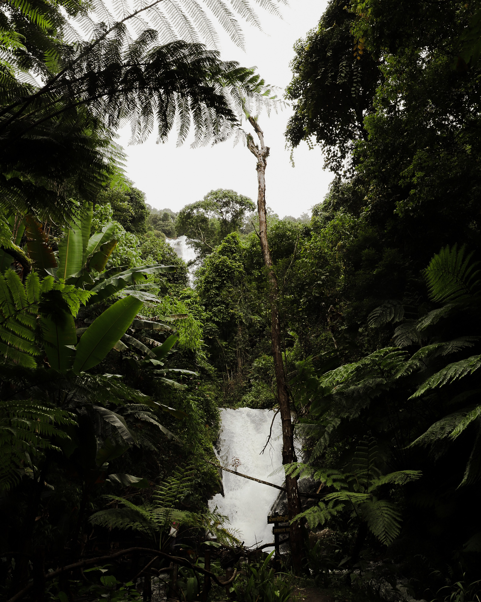 Doi Inthanon National Park, Chiang Mai