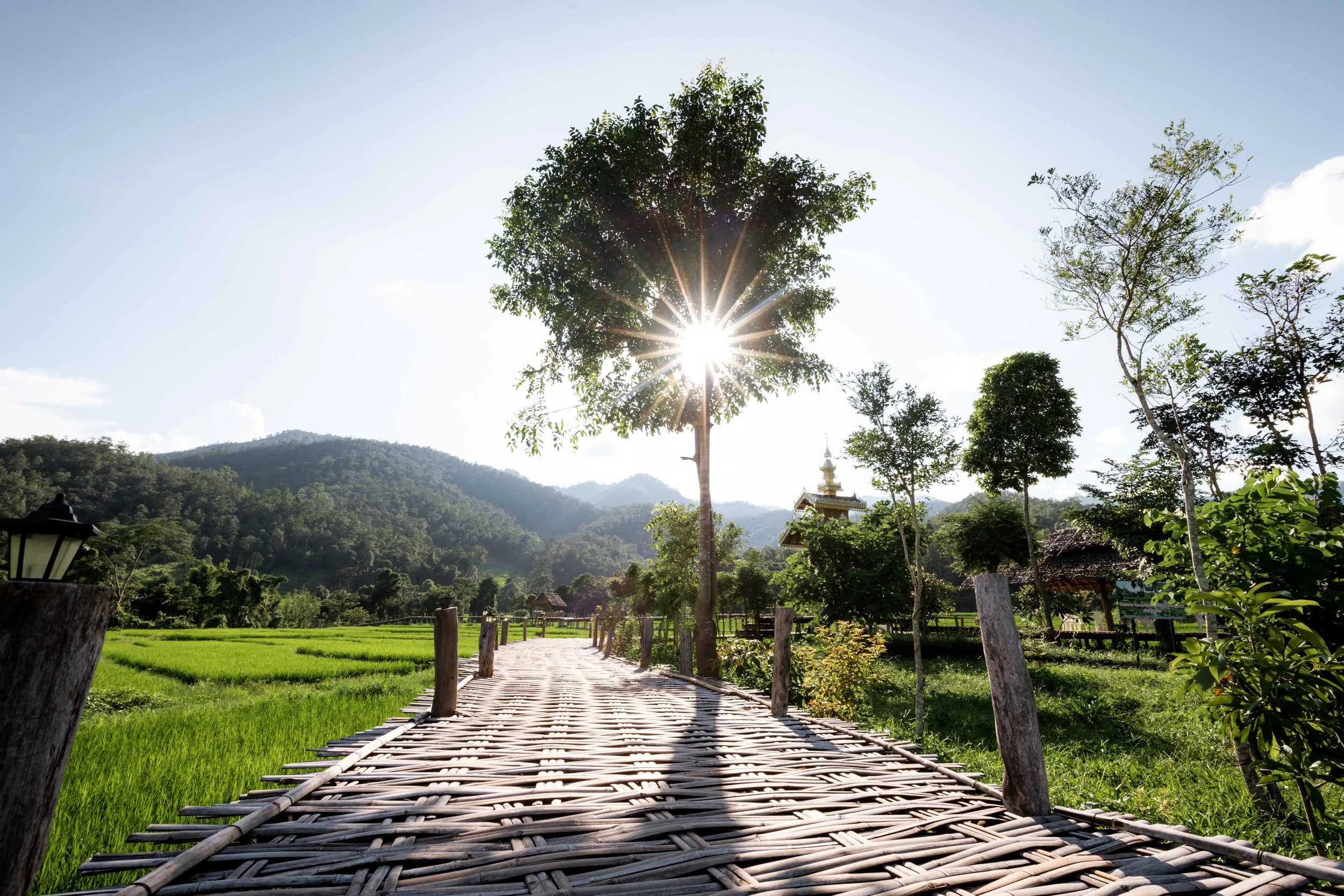 Bamboo Bridge, Pai