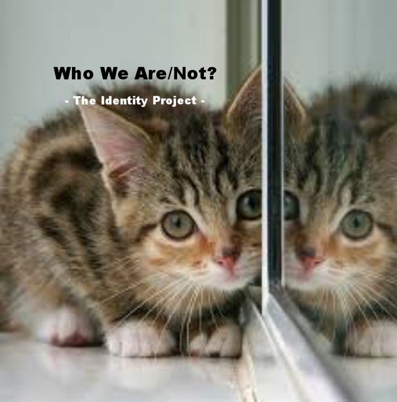 kitty in the mirror.jpeg
