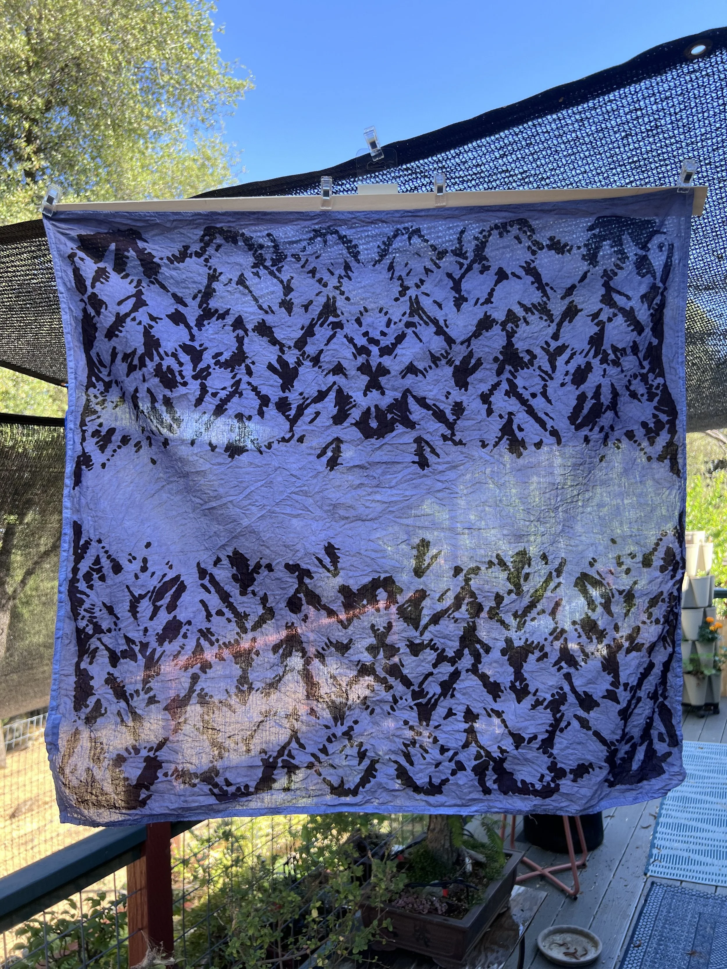 2024-07-04 10.20.34.jpg