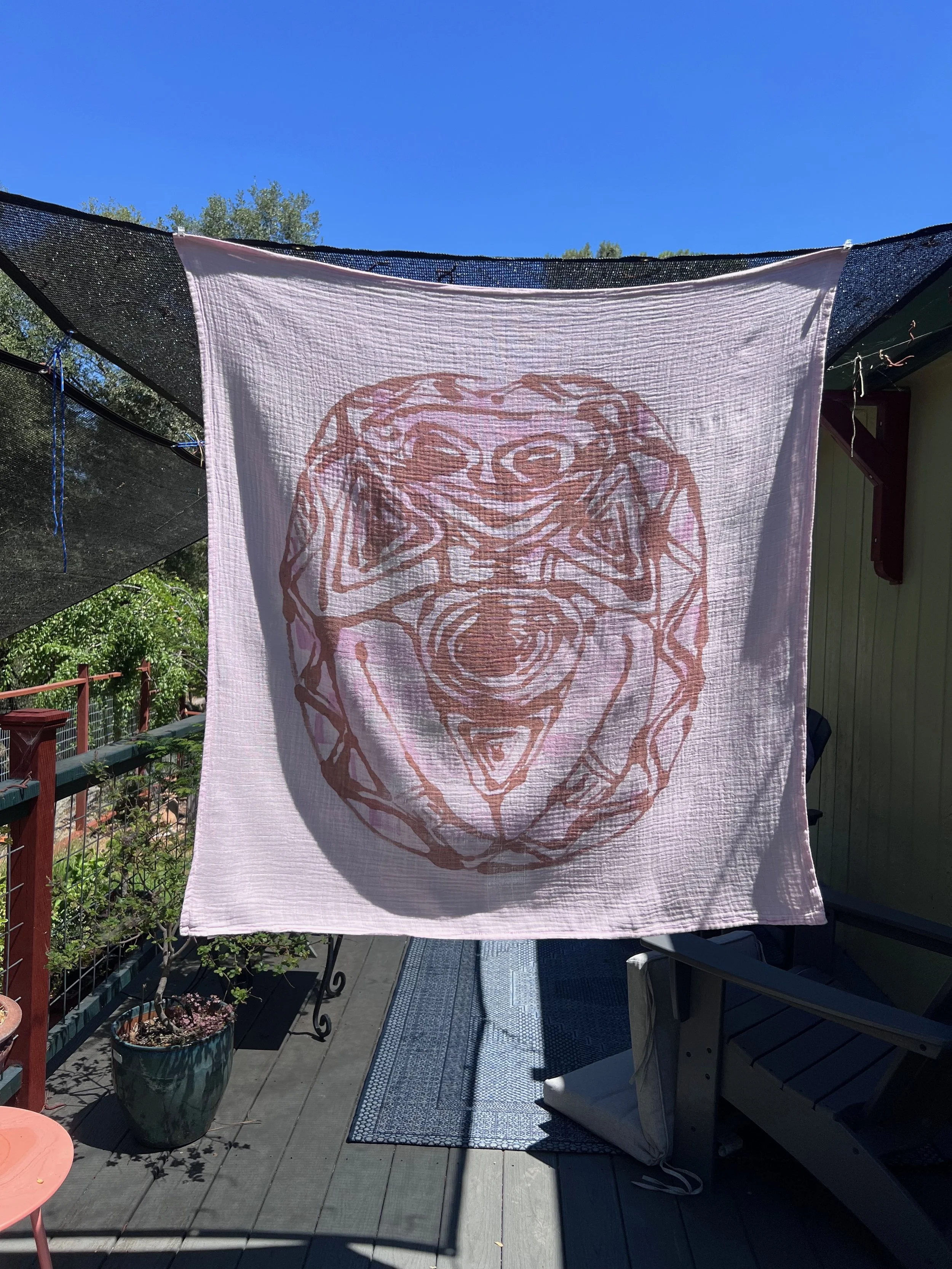 IMG_7988.jpeg