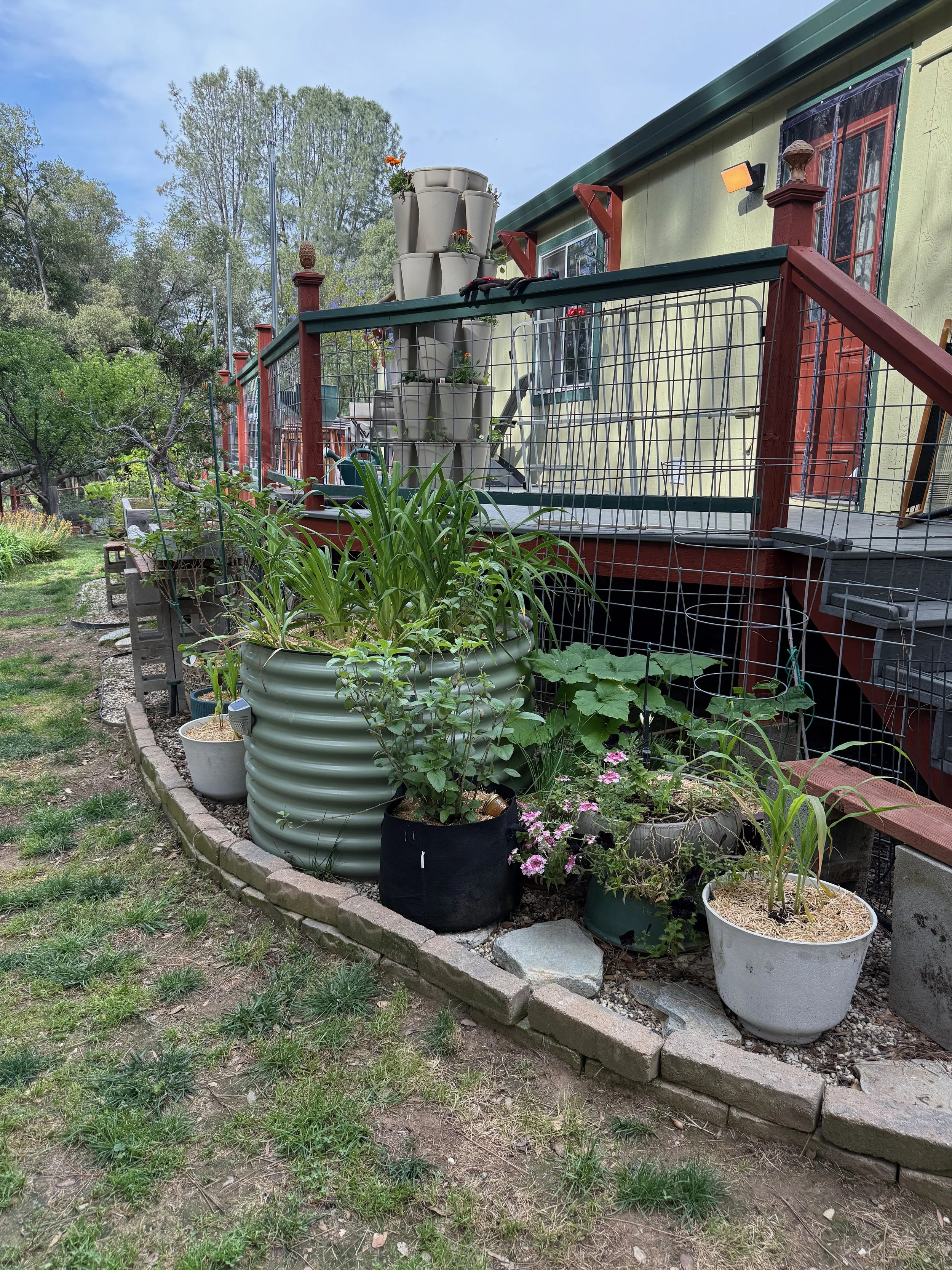 2026_04_09_Garden - 2.jpeg