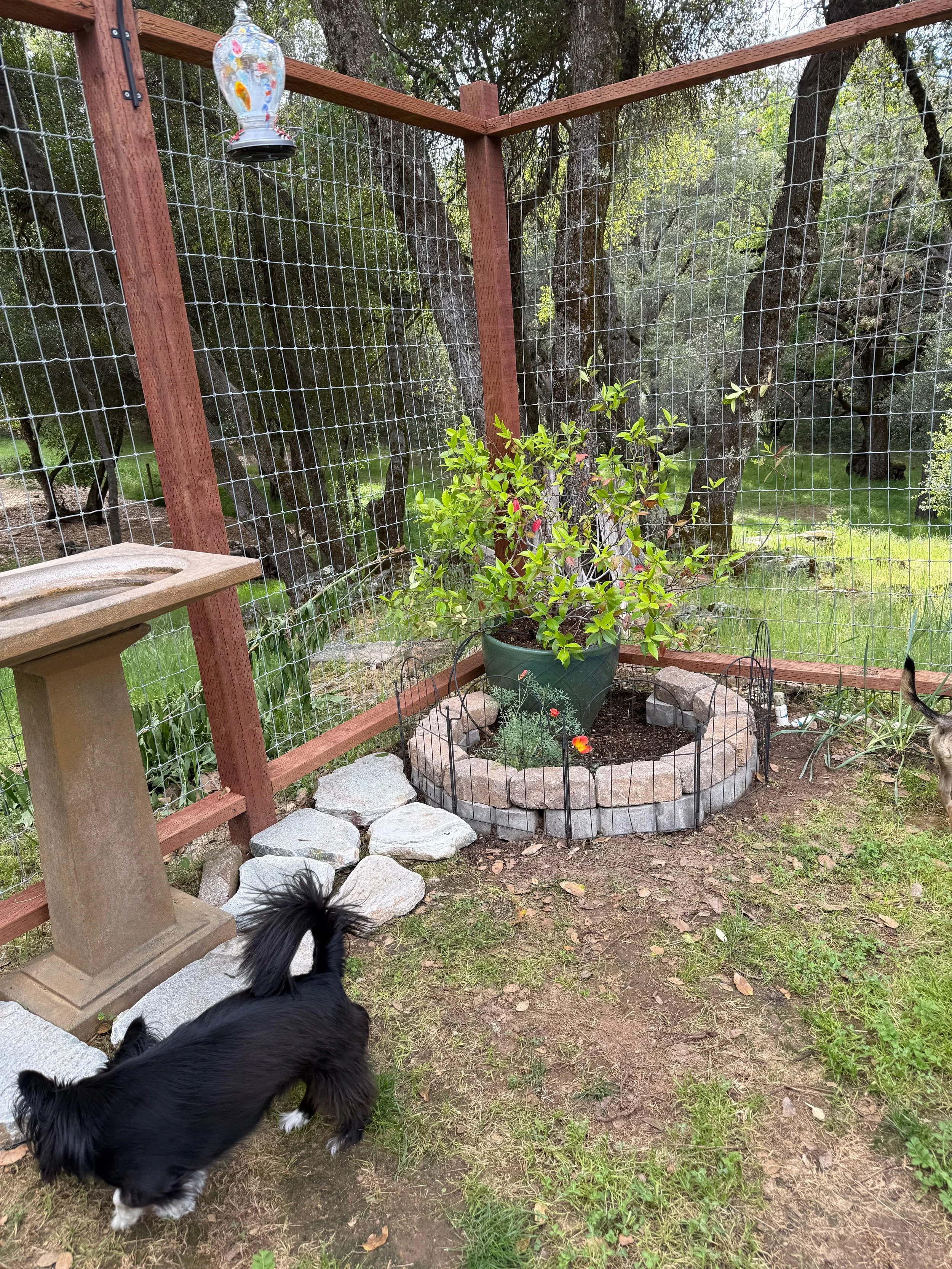 2026_04_09_Garden - 1.jpeg