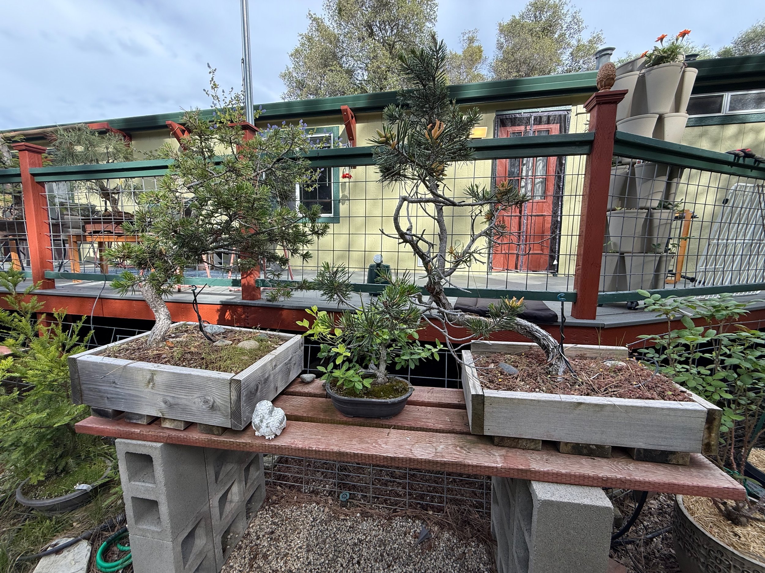 2026_04_09_Garden - 4.jpeg